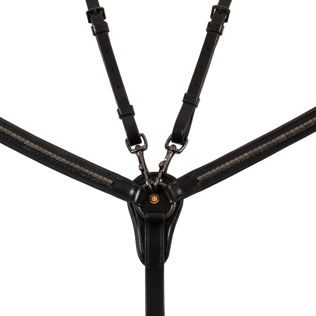 Vorderzeug mit gegerbter martingalgabel ringmartingal und schwarzem Klemmring