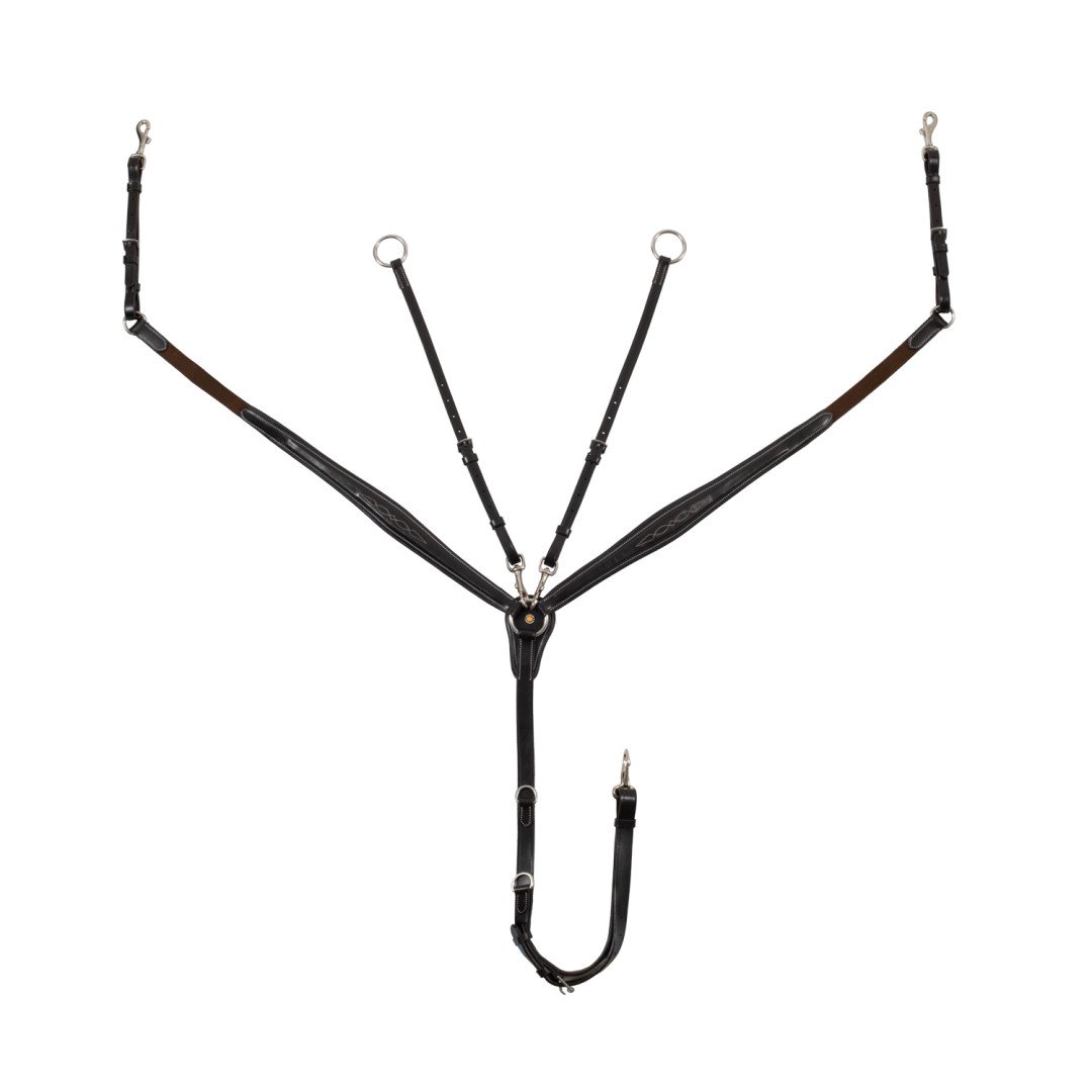 Vorderzeug mit gegerbter martingalgabel ringmartingal und Stickerei