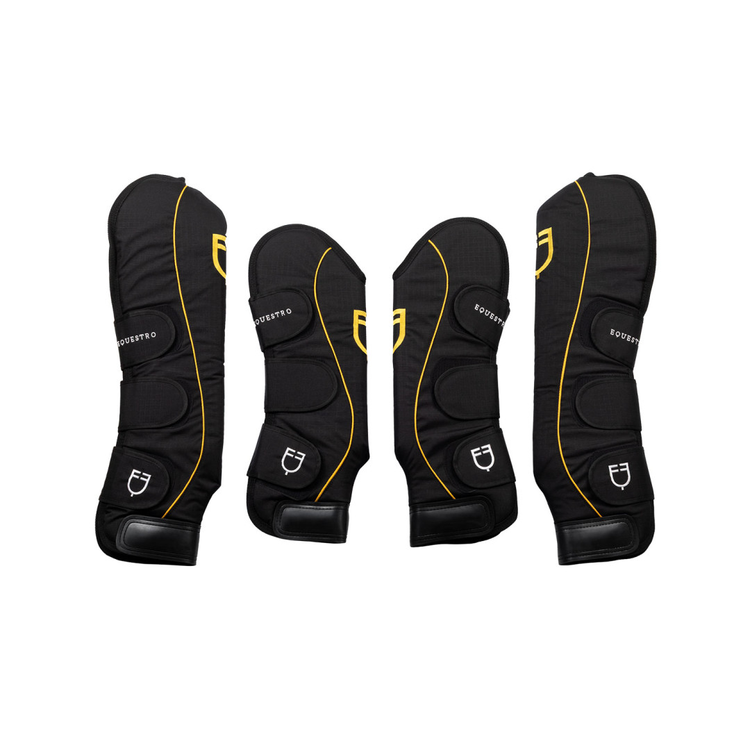 PROTEZIONI DA VIAGGIO PRO TRAVELLER