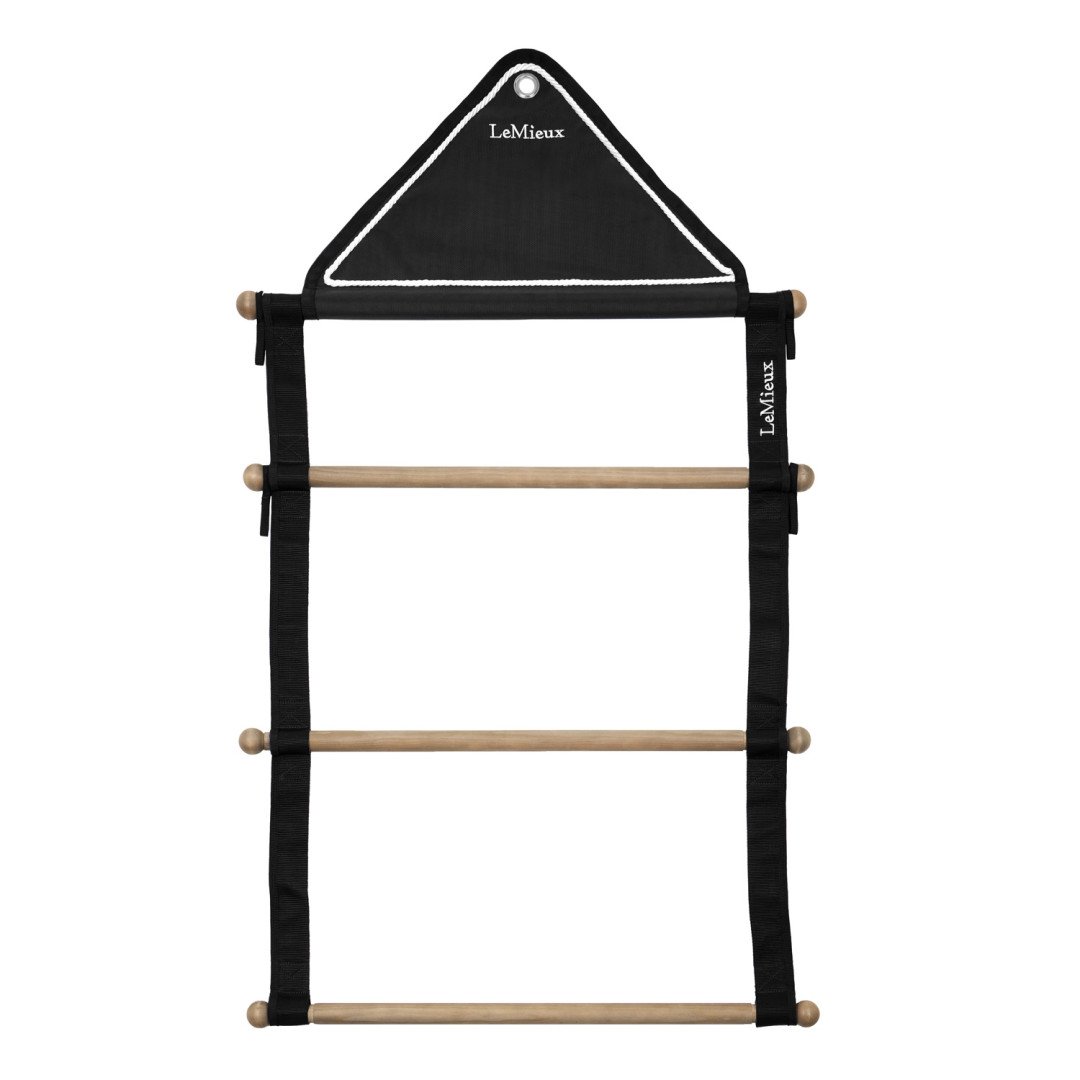 SHOW RUG HANGING RACK BLACK