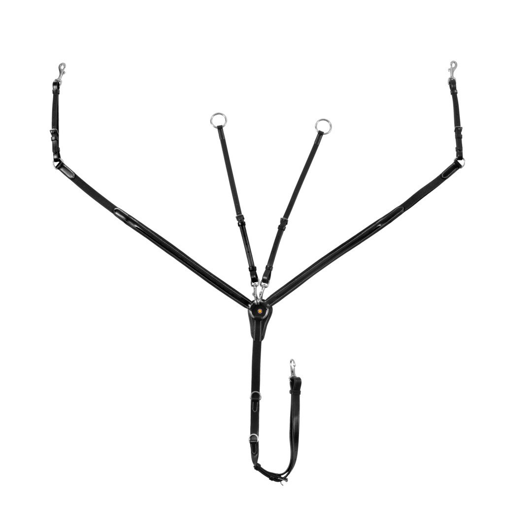 Vorderzeug mit herausnehmbarem gleitendes ringmartingal und elastischen Einsätzen