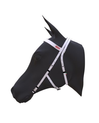 cabeçada Hackamore Premium EQUITIME