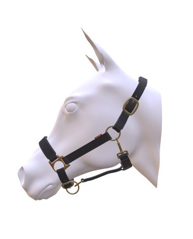 Licol en nylon EQUITIME personnalisable avec broderie