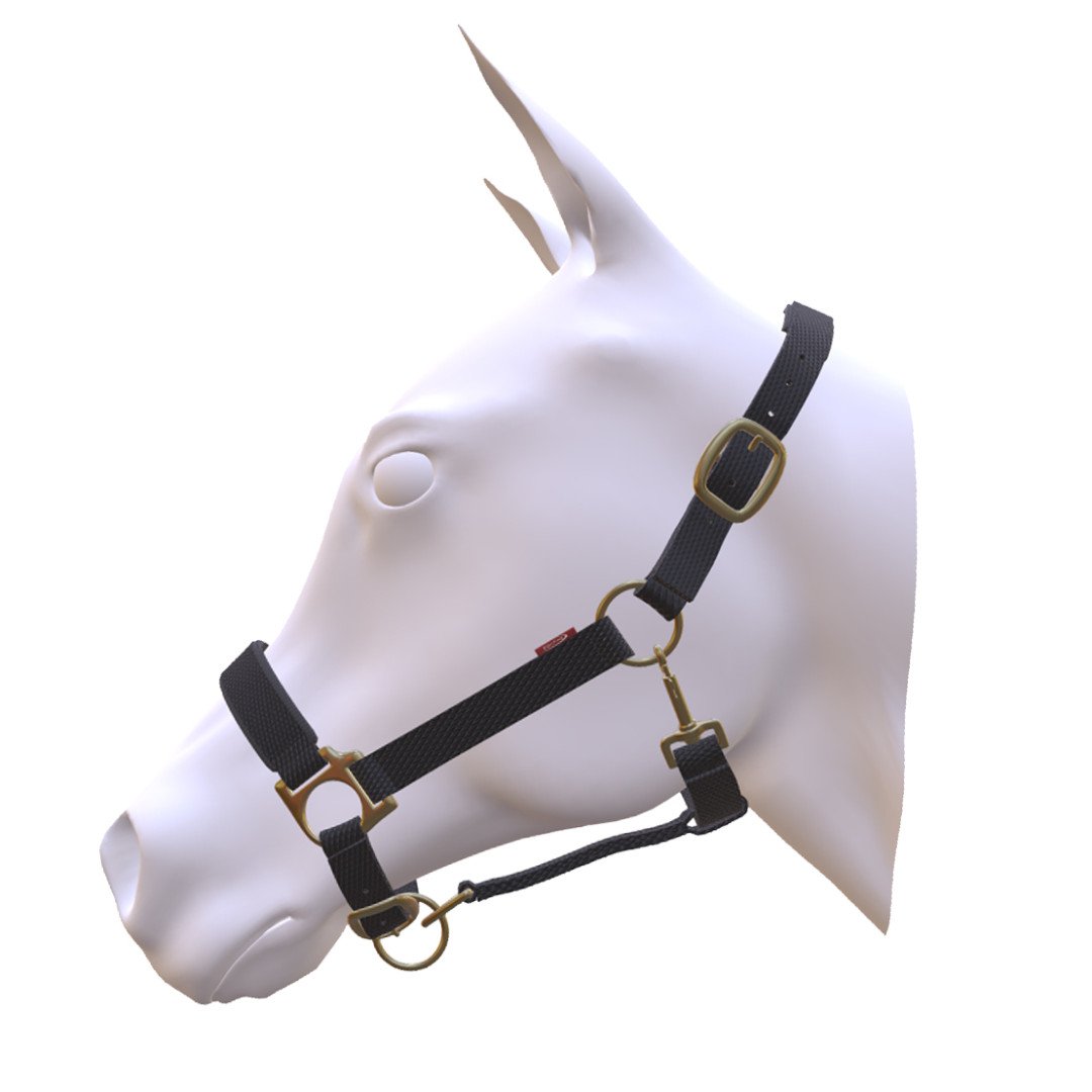 licol Licol en nylon EQUITIME personnalisable avec broderie 32,79&nbsp;€