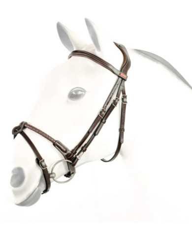 Testiere  Equipe - Testiera BR73 204,10 €