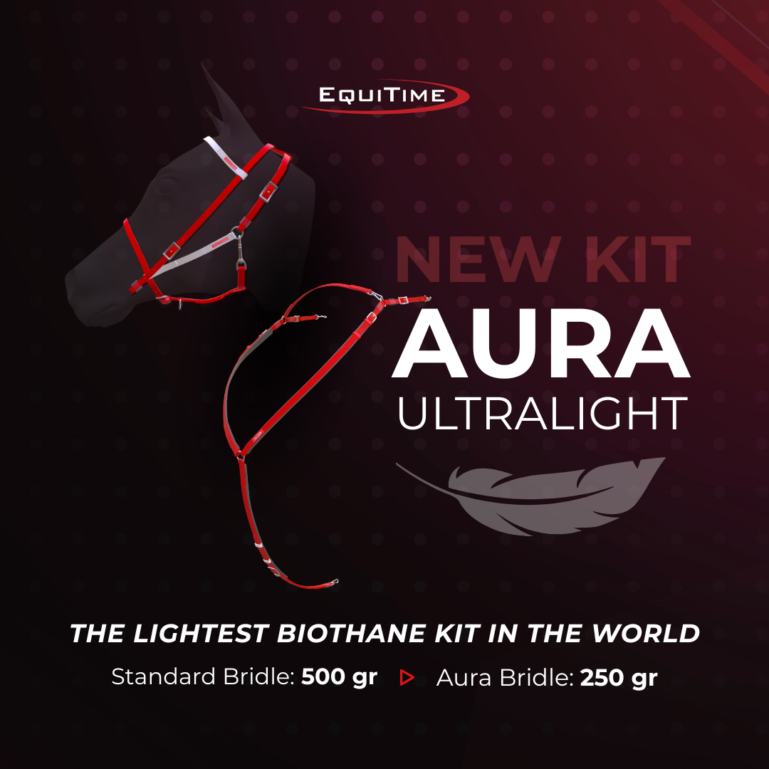 Vorderzeug und Martingal Endurance Equitime Aura Ultraleichter biothane vorderzeug 89,34&nbsp;€