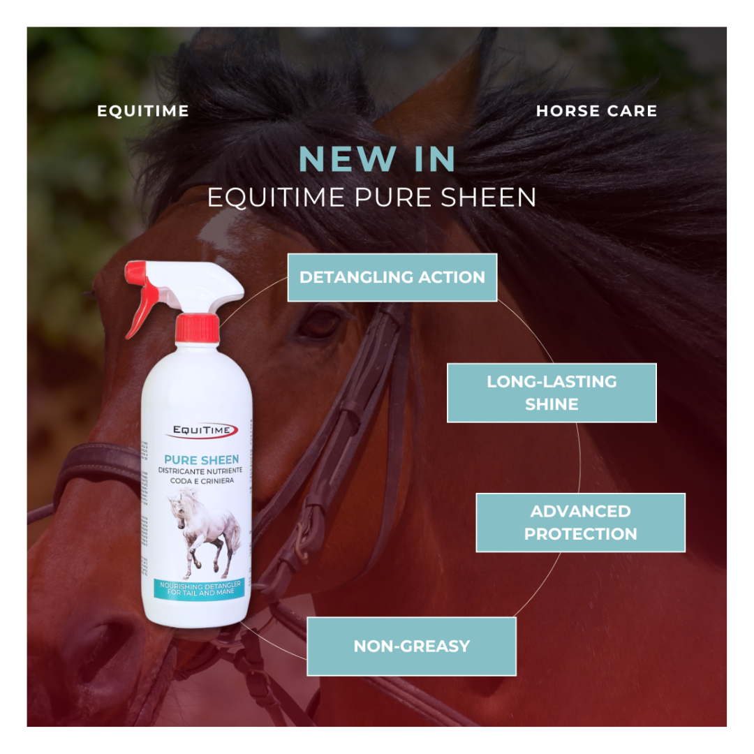 Horse & Leather Care EQUITIME Pure Sheen – Spray démêlant et nourrissant pour la queue, la crinière et le pelage 5000ml 65,57&nbsp;€