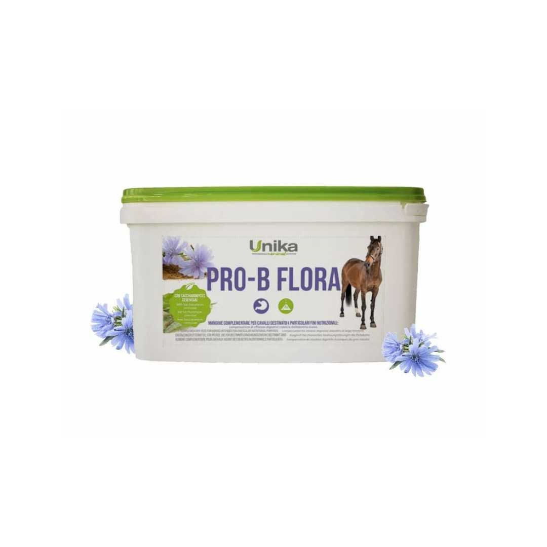 Suppléments Pro-B Flora 5 kg 110,66&nbsp;€