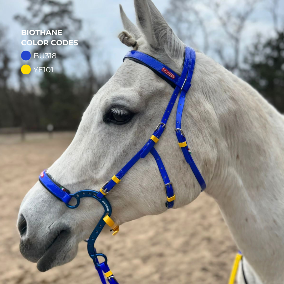 Testiere Endurance EQUITIME testiera per hackamore Premium 105,74&nbsp;€