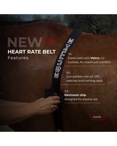 EQUITIME Horse Heart Rate Belt | Elastic, buckle-free SENSOR INCLUDED