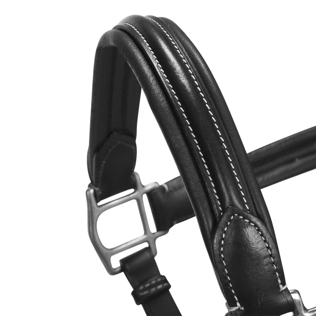 Cavezza cuoio morbido fibbie resistenti NEW