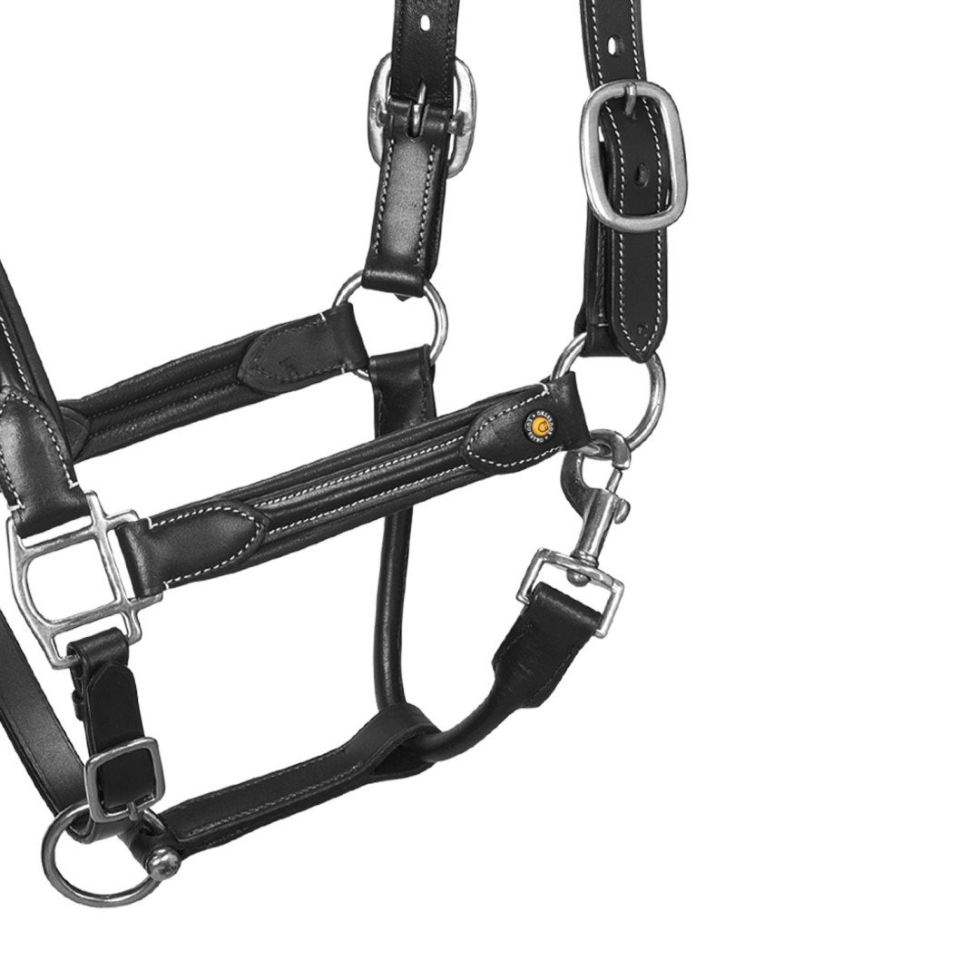 Cavezza cuoio morbido fibbie resistenti NEW