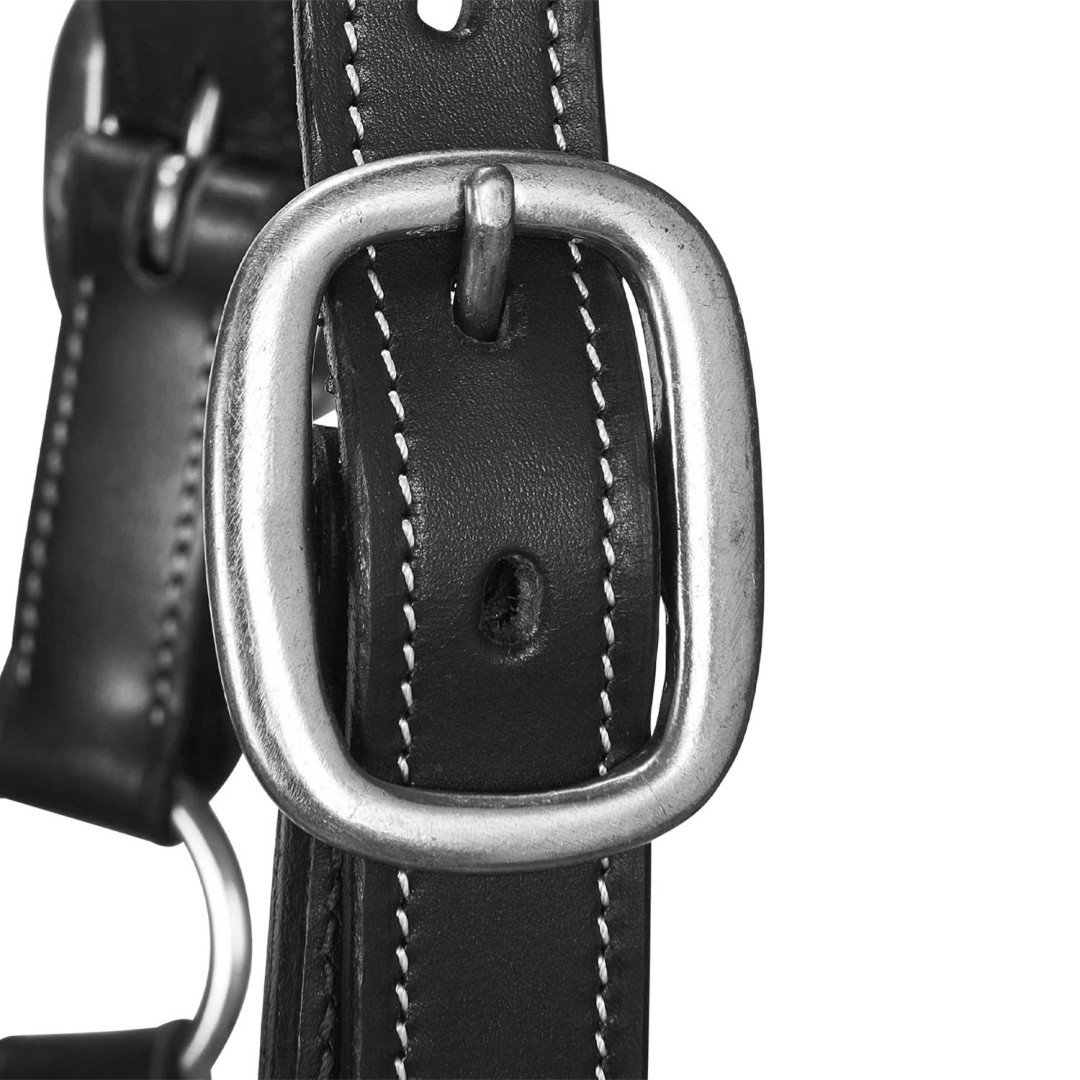 Cavezza cuoio morbido fibbie resistenti NEW