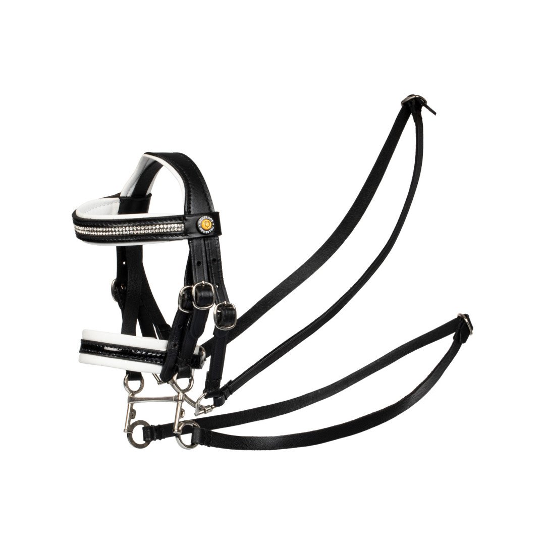 Scooter elettrico E-one 1000W