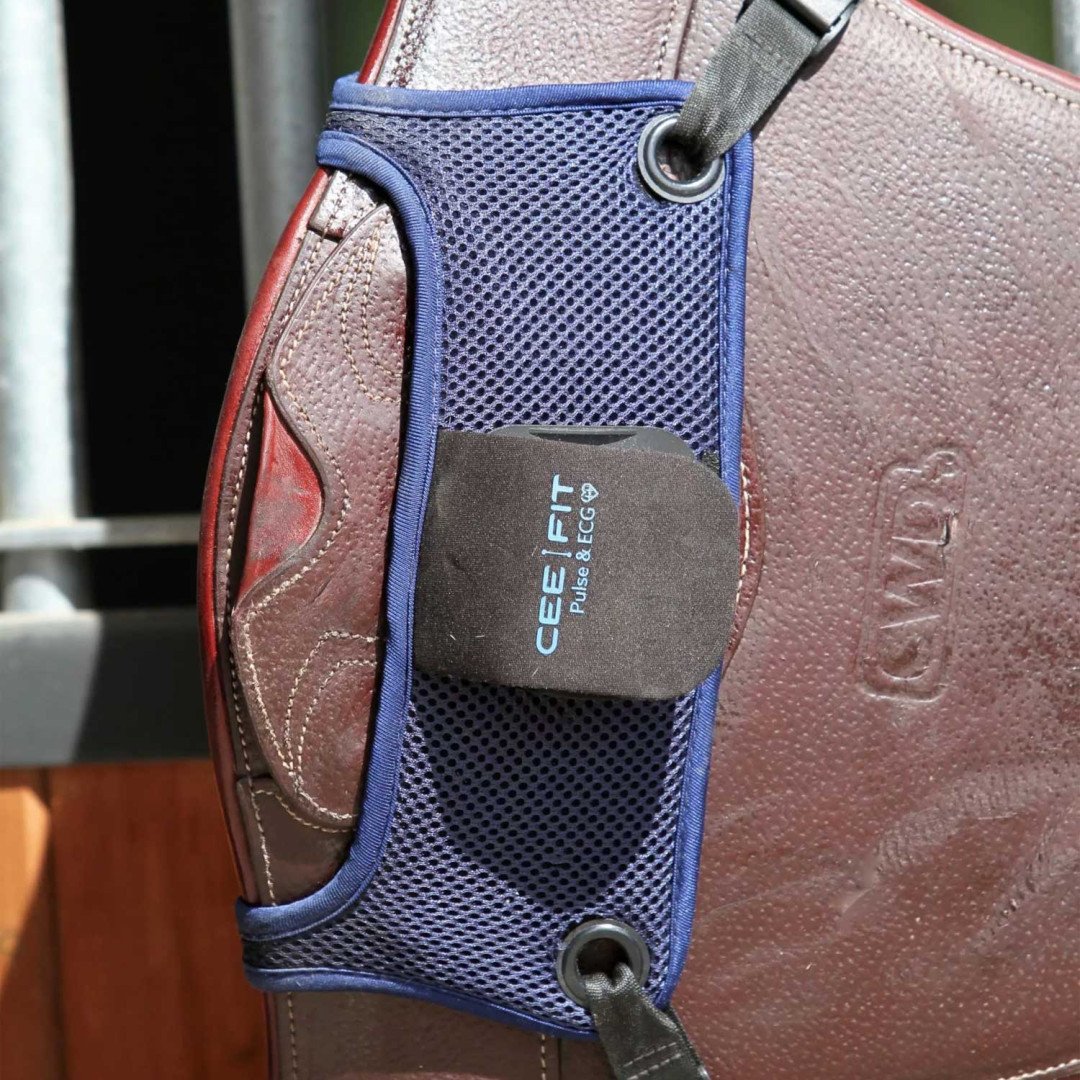 Equitime Saddlery Online CEEFIT PULSE & ECG 122,13&nbsp;€