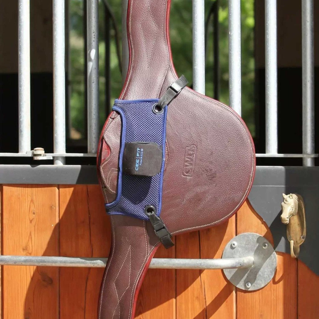 Equitime Selleria Online CEEFIT+ CEEFIT Pulse & ECG 327,05&nbsp;€