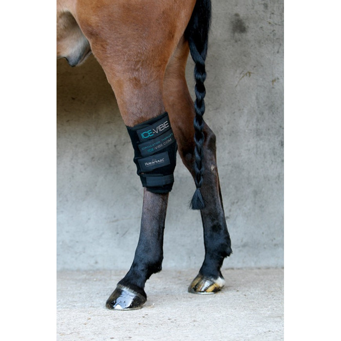 Protectores  Dispositivo terapêutico Ice Vibe para jarretes 180,33 € Protectores  Dispositivo terapêutico Ice Vibe para jarretes 180,33 €