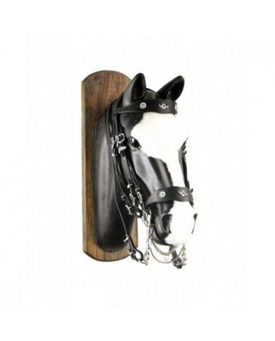 Briglie Briglia Portoghese C redini 97,68 €