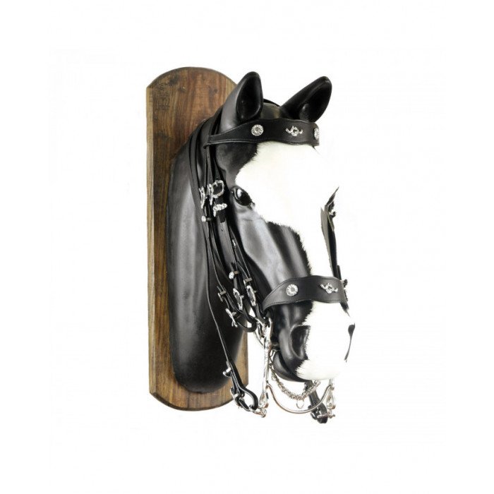 cabeçada  rédeas portuguesas de freio C 97,68 €