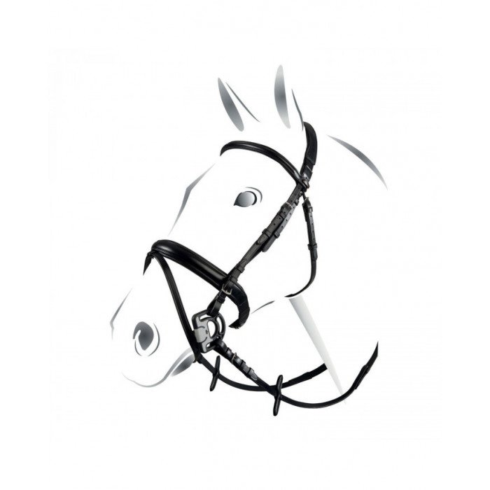 Testiere Monta Inglese  Testiera Equestro Modello Classic 96,66 €