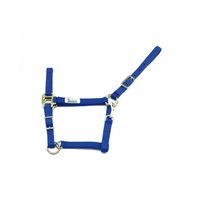 cabezada cabezada Nylon Arabe 19 Cm 8,20&nbsp;€