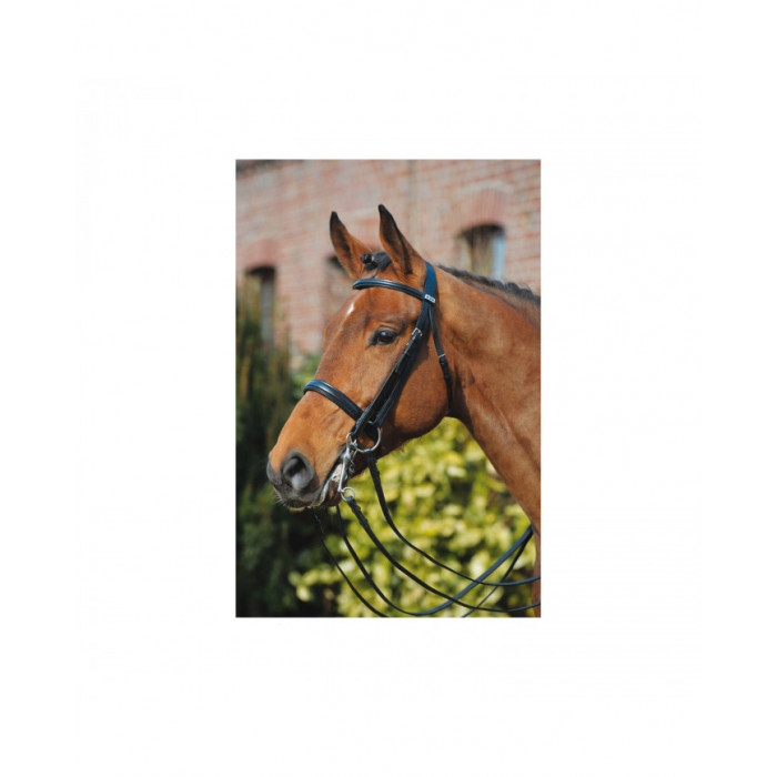zaumzeuge  Stubben Dressur Waterford Zaumzeug Serie 1011 294,33 € zaumzeuge  Stubben Dressur Waterford Zaumzeug Serie 1011 294,33 €