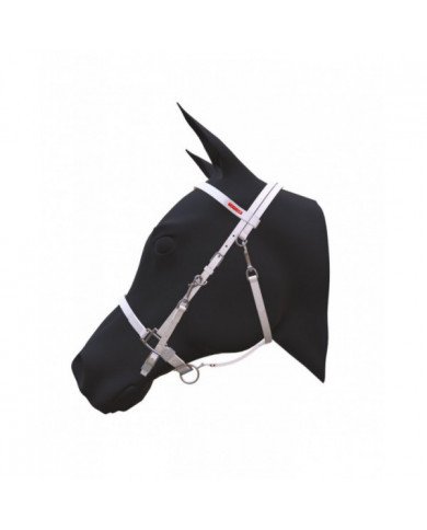 Bridon modèle Equitime Classic