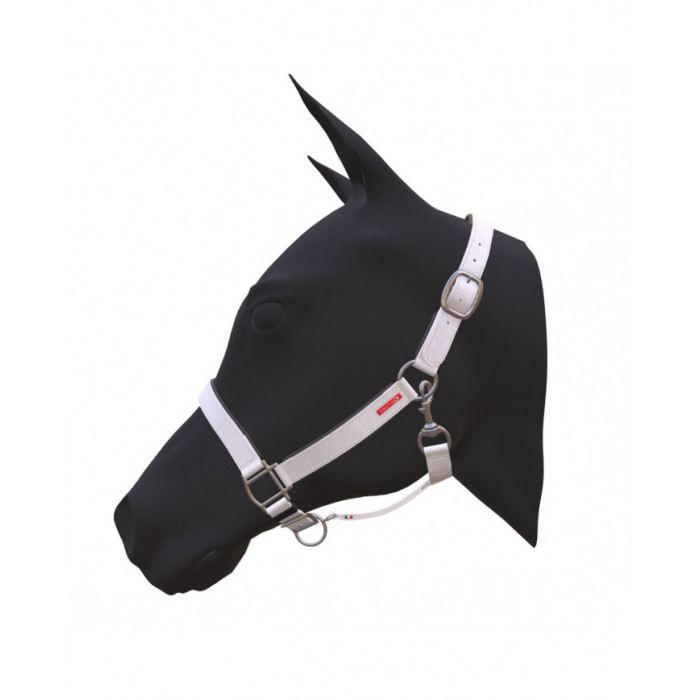 halter  Equitime Biothane halter Large Double Buckle 131,07 € halter  Equitime Biothane halter Large Double Buckle 131,07 €