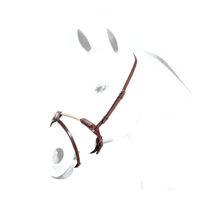 Accessoires et pièces de rechange  Muserolle Irlandaise Equipe en Cuir 81,15 € Accessoires et pièces de rechange  Muserolle Irlandaise Equipe en Cuir 81,15 €
