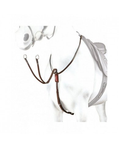 martingale  Equipe Running martingale Collier With Patent Inserts 97,54 €