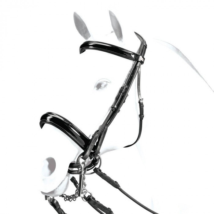 cabeçada  Cabeçada tubular Equipe e focinheira King em pintura 351,64 € cabeçada  Cabeçada tubular Equipe e focinheira King em pintura 351,64 €