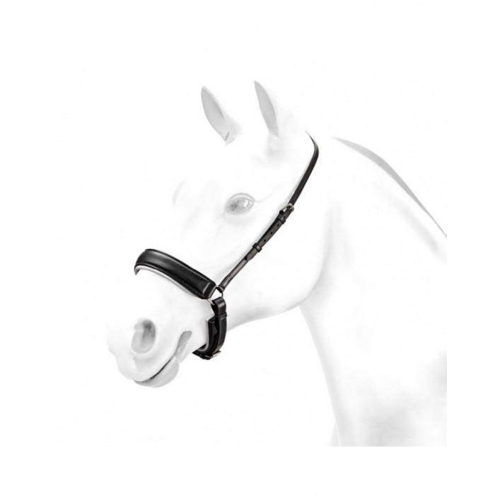 Accessoires et pièces de rechange  Bandeau Equipe Dressage « rose » Avec système « anti-pression » 97,54 € Accessoires et pièces de rechange  Bandeau Equipe Dressage « rose » Avec système « anti-pression » 97,54 €