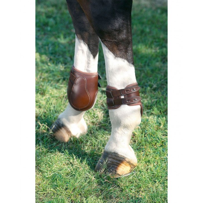 Feltlock boots and knuckles Equipe Fetlock Boot With Leather Inner Pins 130,33&nbsp;€