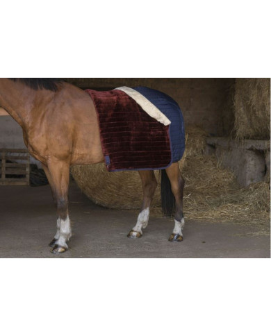 Coperte da Box  Equithème Coperta Da Box Modello Teddy 111,48 € Coperte da Box  Equithème Coperta Da Box Modello Teddy 111,48 €