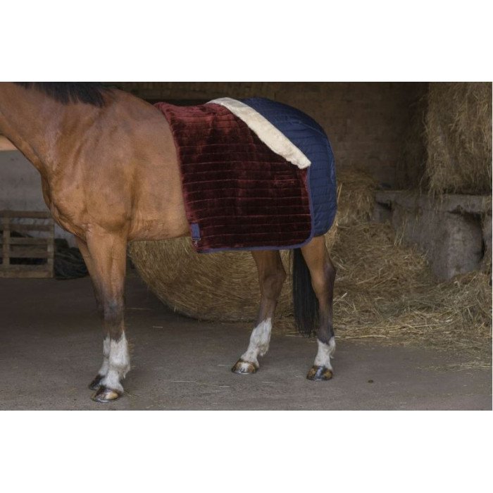 Box Rugs  Equithème Playpen Rug Teddy Model 111,48 €