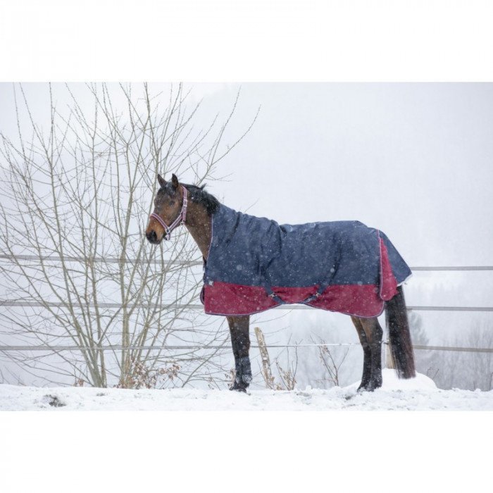 Paddock Rugs  Equithème "tyrex 1200 D" Turnout Blanket with High Neck - 300 GR 100,66 €
