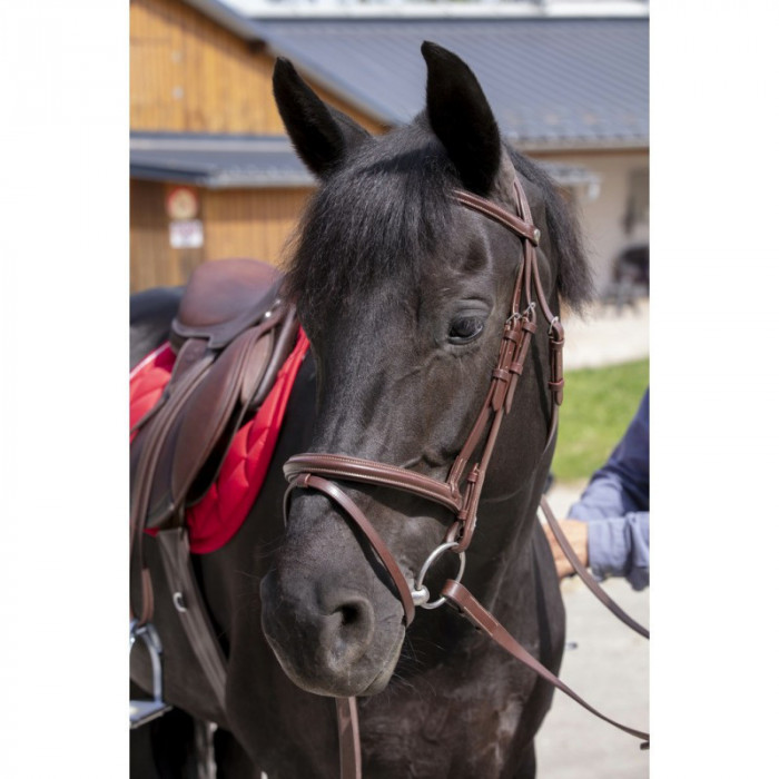 zaumzeuge  Norton Bridle Pro "essentiell" 53,28 € zaumzeuge  Norton Bridle Pro "essentiell" 53,28 €