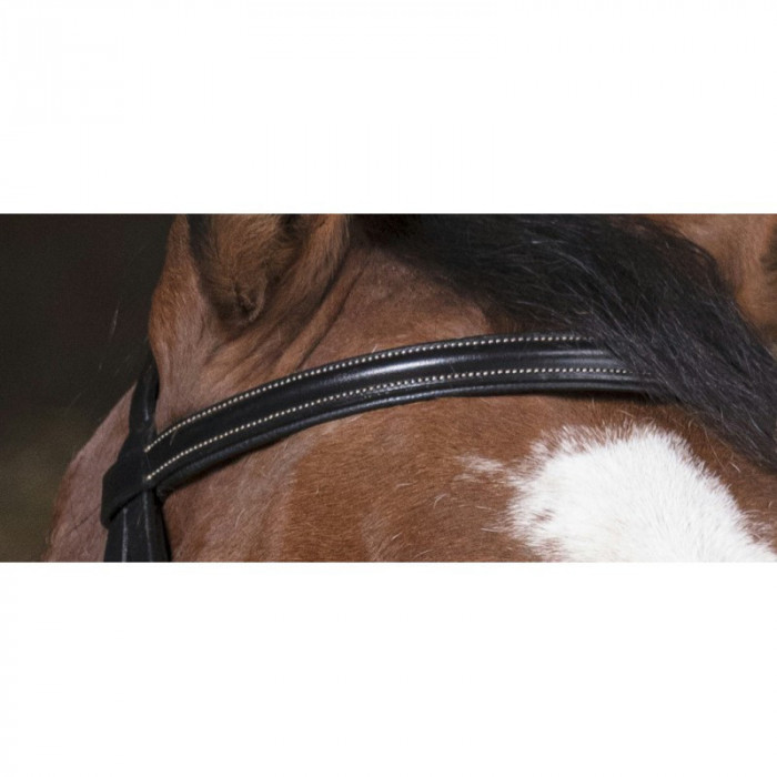 zaumzeuge  Norton Bridle Pro "essentiell" 53,28 € zaumzeuge  Norton Bridle Pro "essentiell" 53,28 €