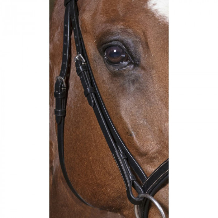 zaumzeuge  Norton Bridle Pro "essentiell" 53,28 € zaumzeuge  Norton Bridle Pro "essentiell" 53,28 €