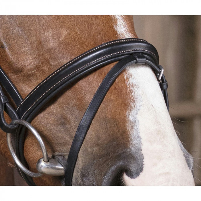 zaumzeuge  Norton Bridle Pro "essentiell" 53,28 € zaumzeuge  Norton Bridle Pro "essentiell" 53,28 €