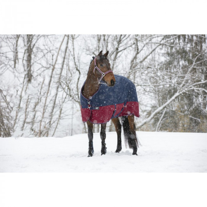 Coperta per cani EQUITHEME Colorado