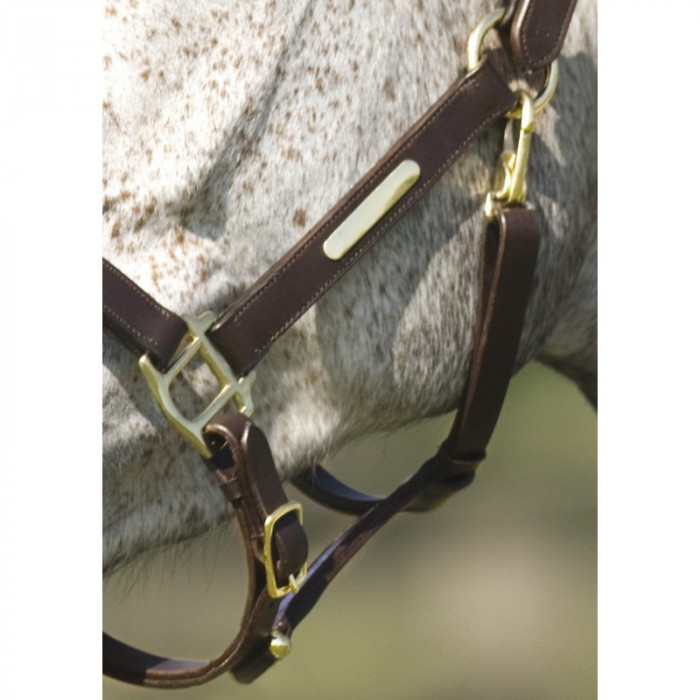 halter  Norton halter With Double Adjustment 36,07 € halter  Norton halter With Double Adjustment 36,07 €