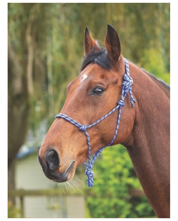 Shires Long Lead Rope 440 – Corda Di Piombo Extra Lunga In Nylon Per Cavalli