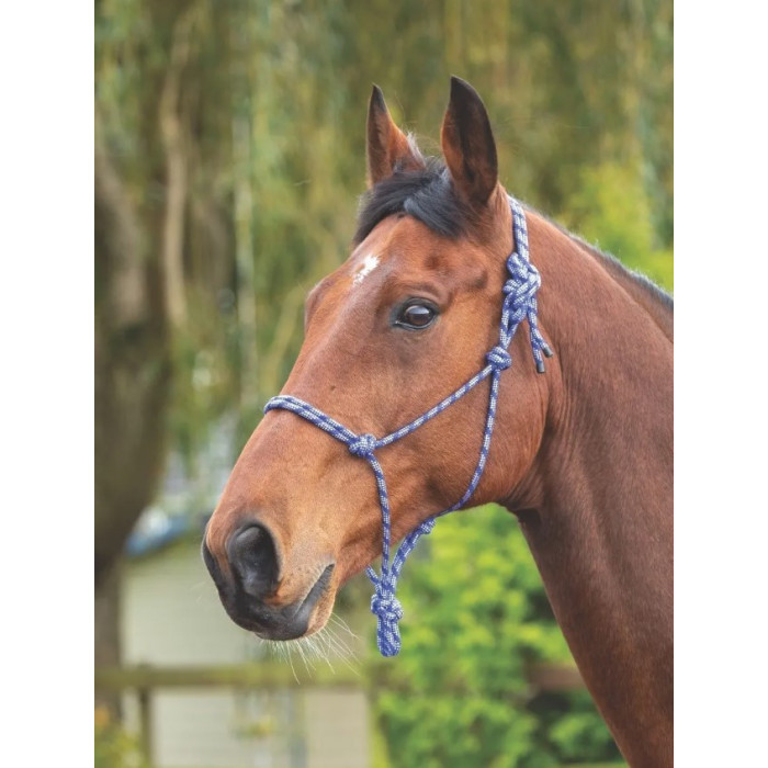 halter  Shires halter 12,30 € halter  Shires halter 12,30 €