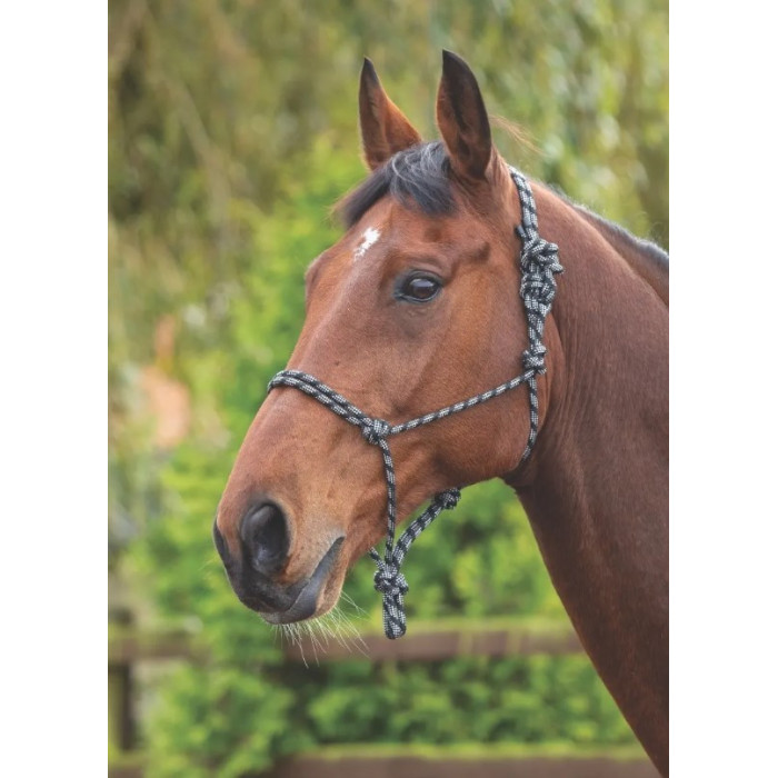 halter  Shires halter 12,30 € halter  Shires halter 12,30 €