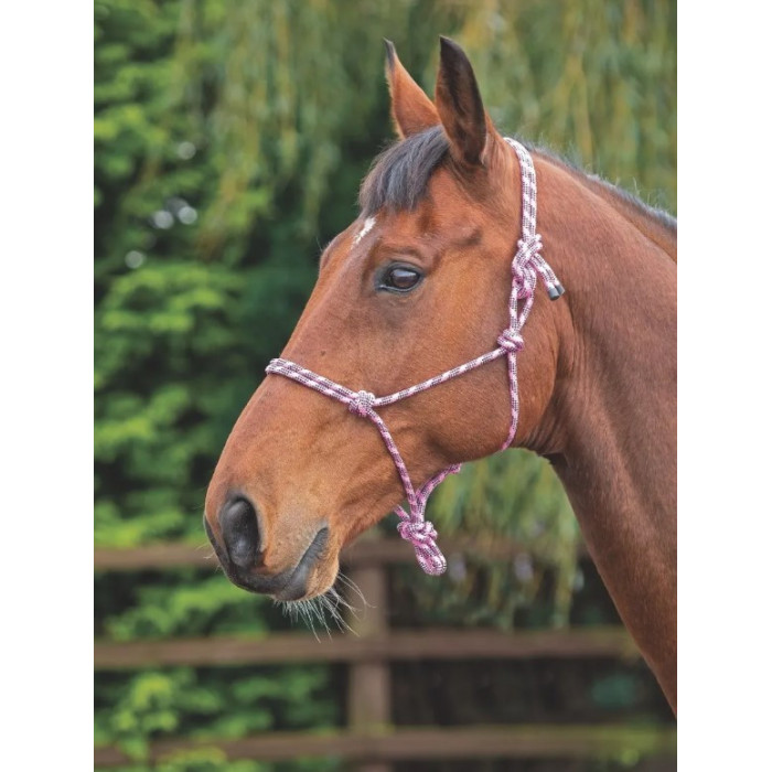 halter  Shires halter 12,30 € halter  Shires halter 12,30 €