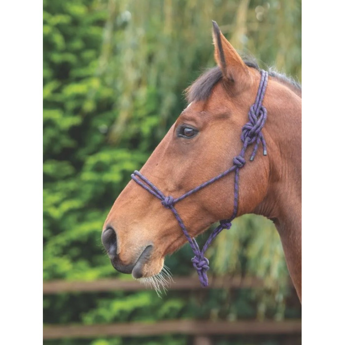 halter  Shires halter 12,30 € halter  Shires halter 12,30 €