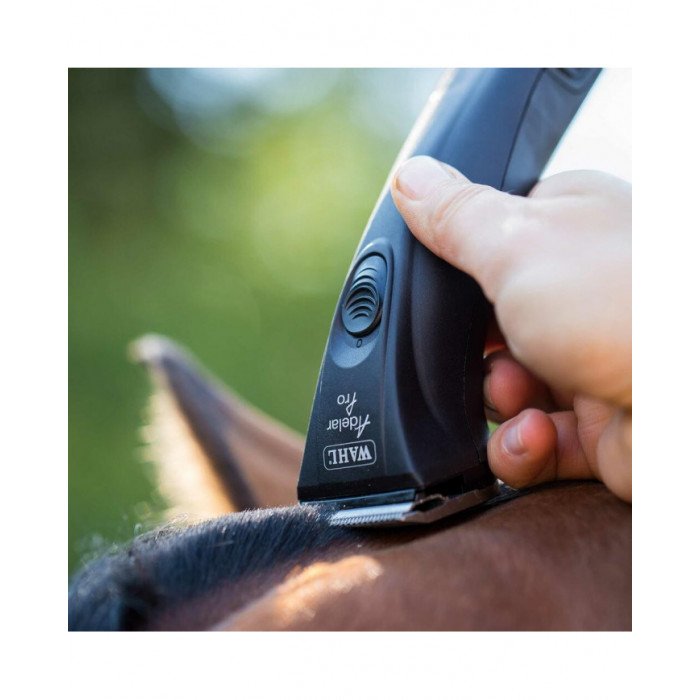 Tosquiadeiras e acessórios  Wahl - Clipper Modelo Adelar Pro 177,06 €