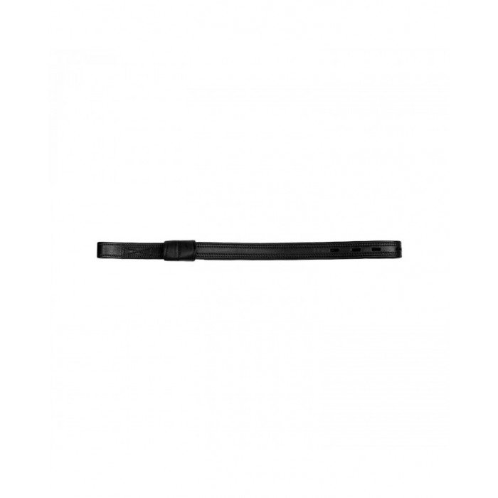 loros  loros de Adestramento 36,05 €