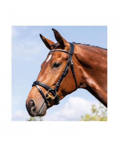 Crownpieces Acavallo Cupido Leather Bridle 192,54&nbsp;€